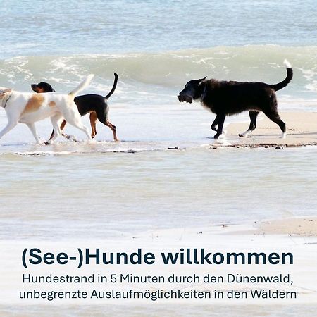 Paradies-Ambiente - Strandnah, Sauna, Kamin, Hundefreundlich Zinnowitz Exteriör bild