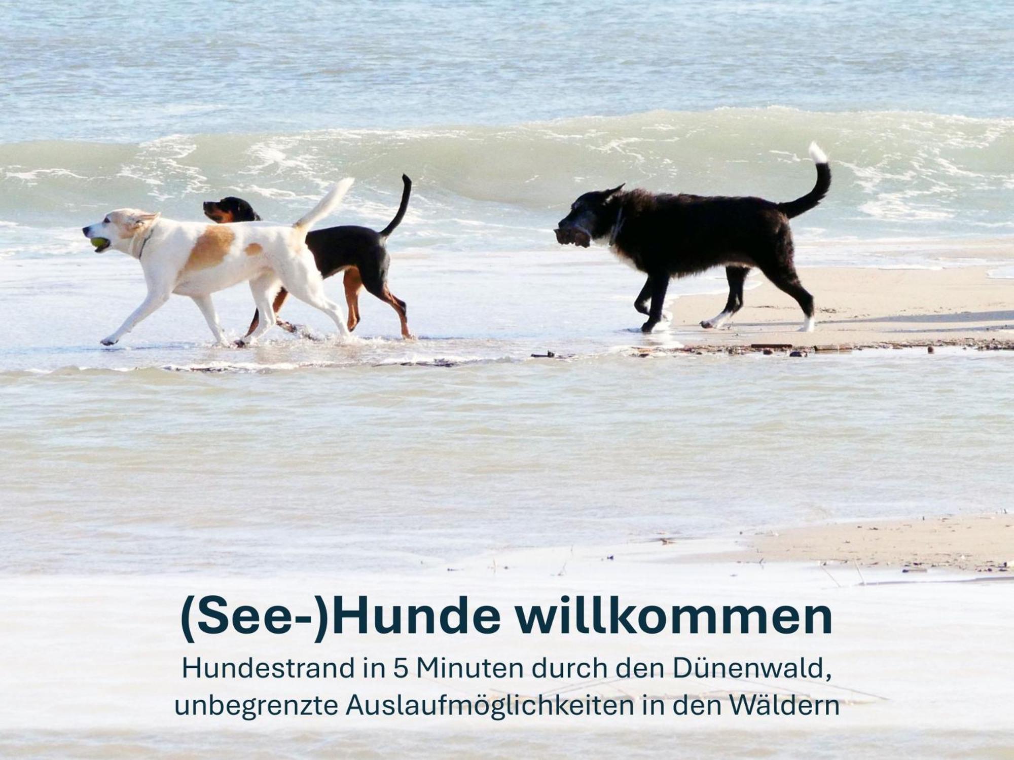 Paradies-Ambiente - Strandnah, Sauna, Kamin, Hundefreundlich Zinnowitz Exteriör bild