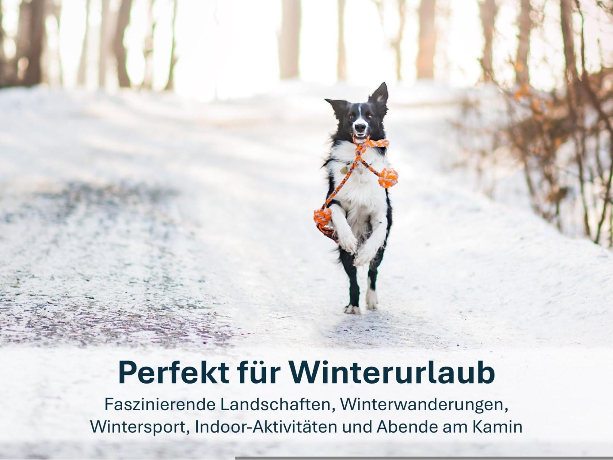 Paradies-Ambiente - Strandnah, Sauna, Kamin, Hundefreundlich Zinnowitz Exteriör bild